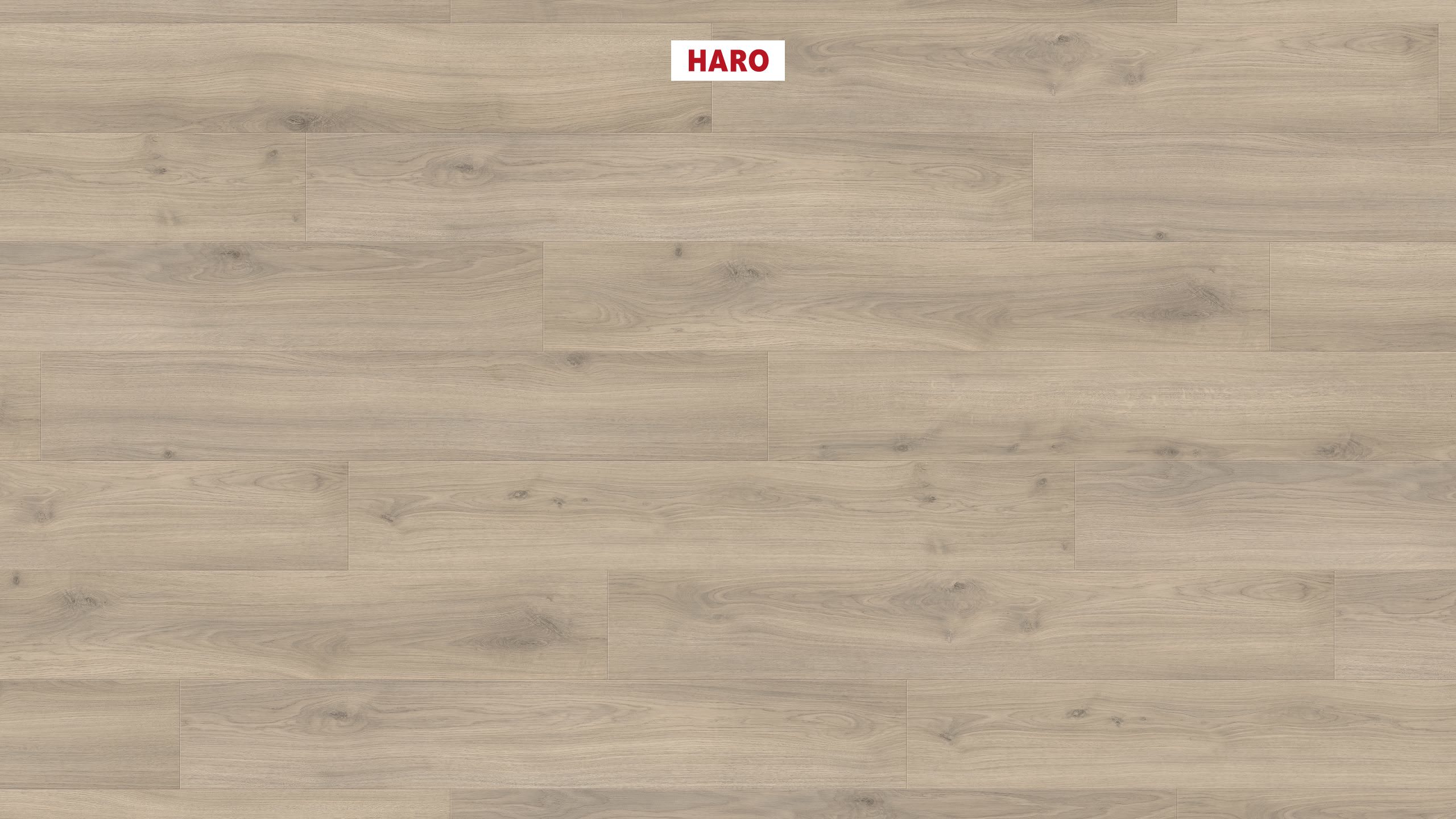 HARO Laminat Eiche Emilia samtgrau authentic soft Landhausdiele 4V | Tritty 100 | 2. Wahl | 15,5 m²-4018427448059