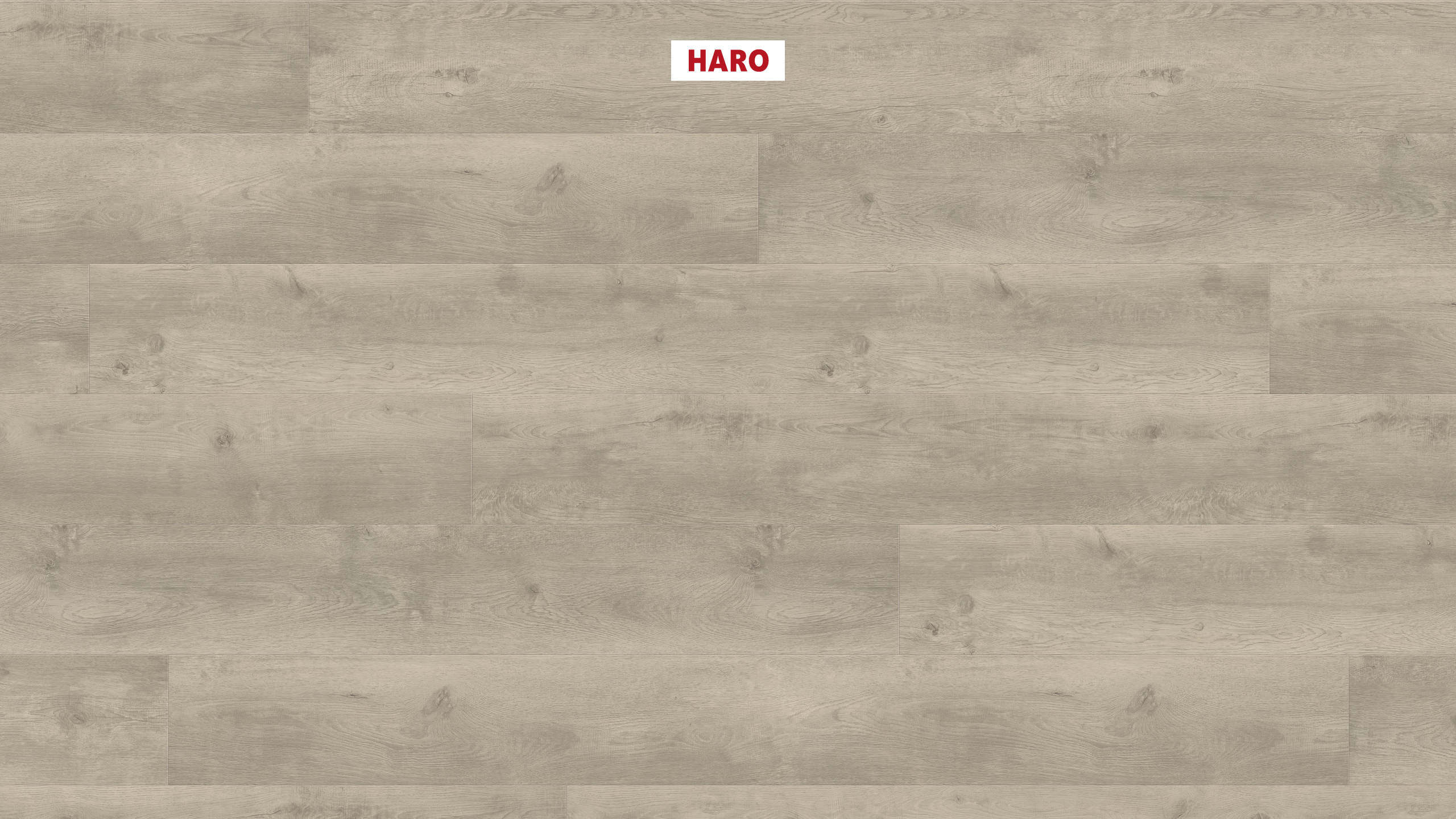 HARO Laminat Eiche Bergamo silbergrau Landhausdiele 4V | Tritty 100 Gran Via Sonderedition-4018427475673