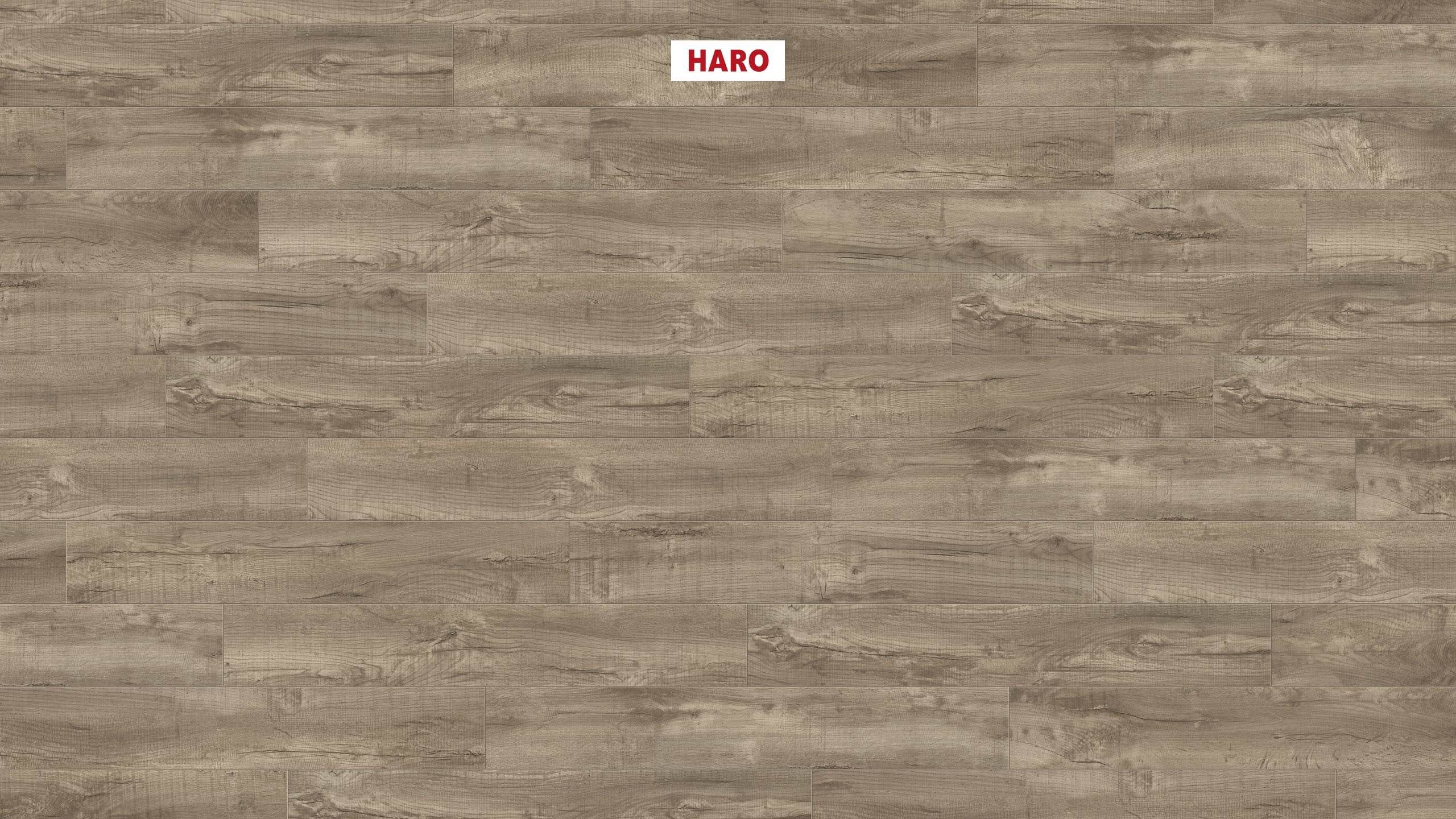 HARO Korkboden Arteo XL 4V Shabby Oak grau permaDur | Corkett-4018427427252
