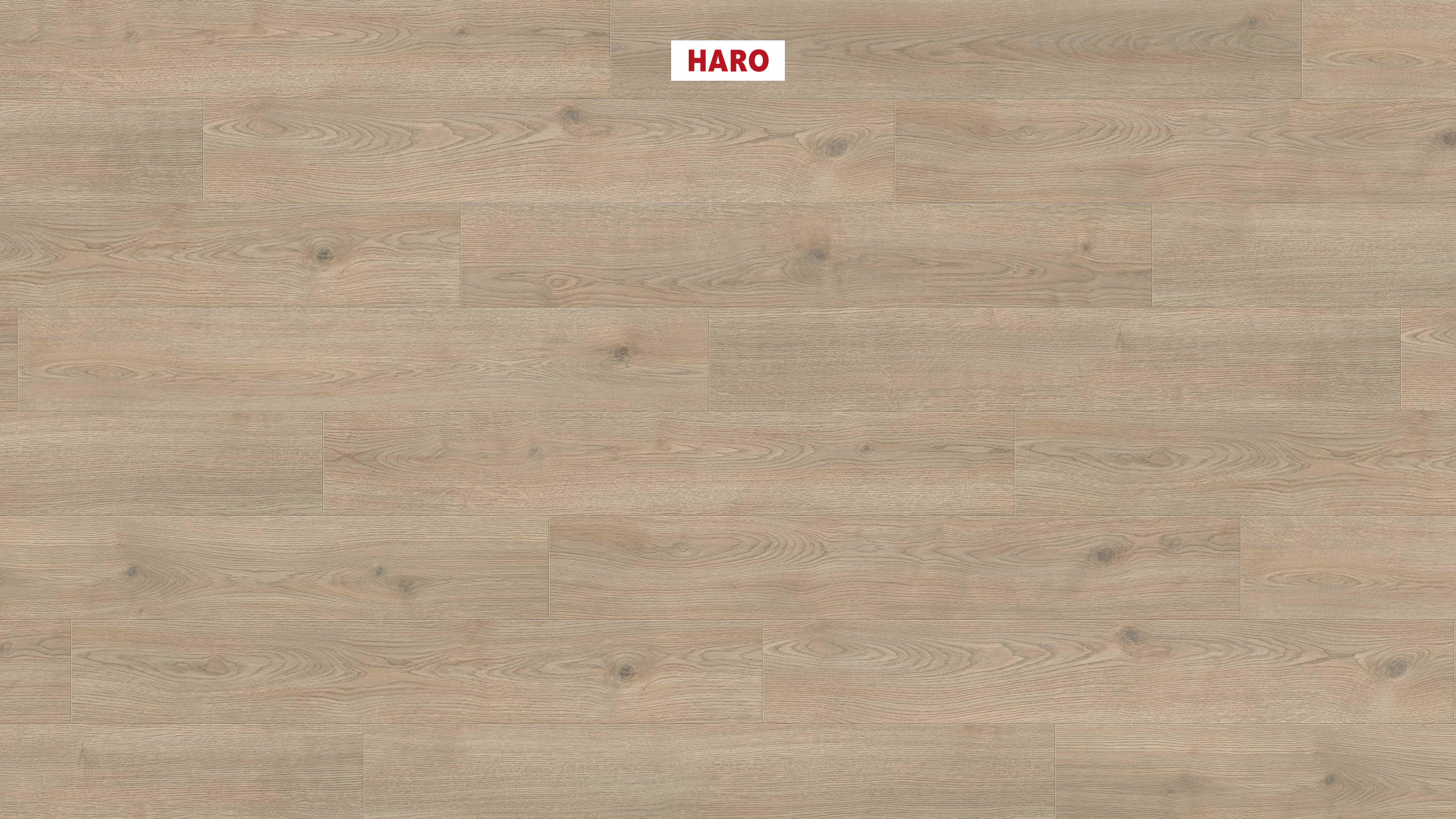 HARO Laminat Eiche Contura steingrau Landhausdiele 4V | Tritty 200 Aqua Gran Via | 2.Wahl | 13,5 m²-4018427458317 guenstig bei bodenverkauf.de kaufen HARO Laminat Eiche Contura steingrau Landhausdiele 4V | Tritty 200 Aqua Gran Via | 2.Wahl | 13,5 m²-4018427458317