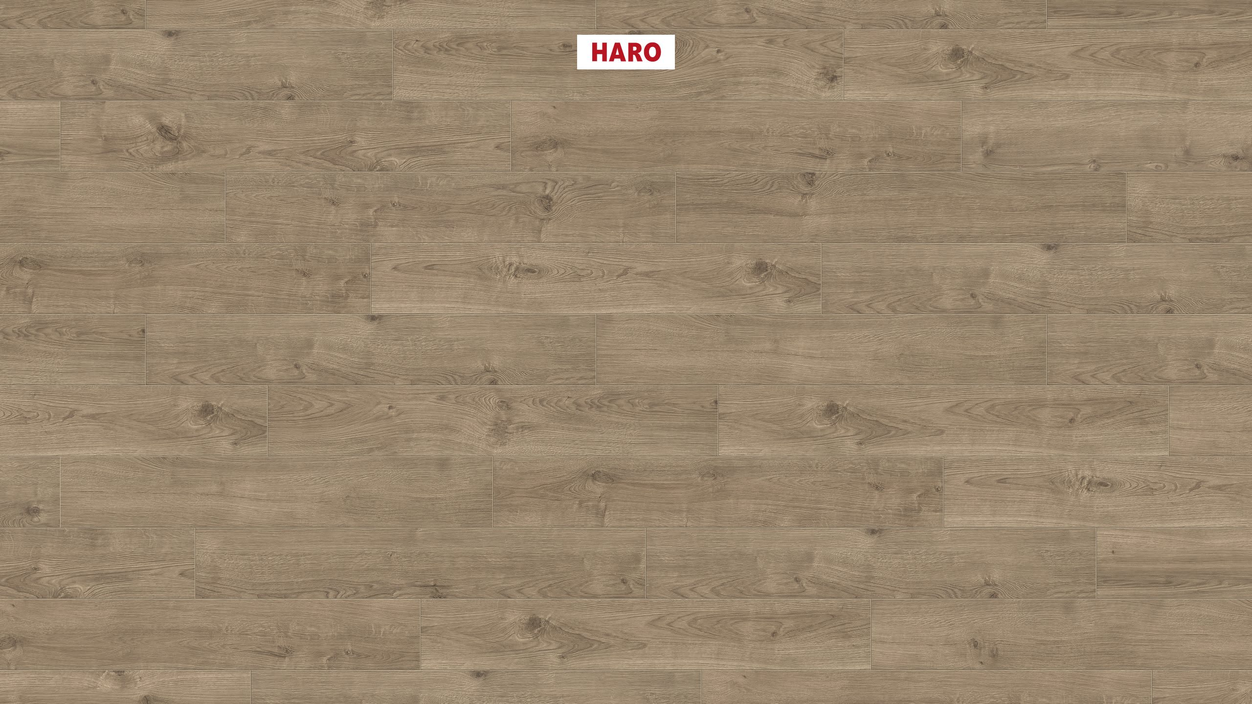 HARO Korkboden Arteo XL 4V Eiche Portland dunkelgrau permaDur | Corkett-4018427427283 guenstig bei bodenverkauf.de kaufen HARO Korkboden Arteo XL 4V Eiche Portland dunkelgrau permaDur | Corkett-4018427427283