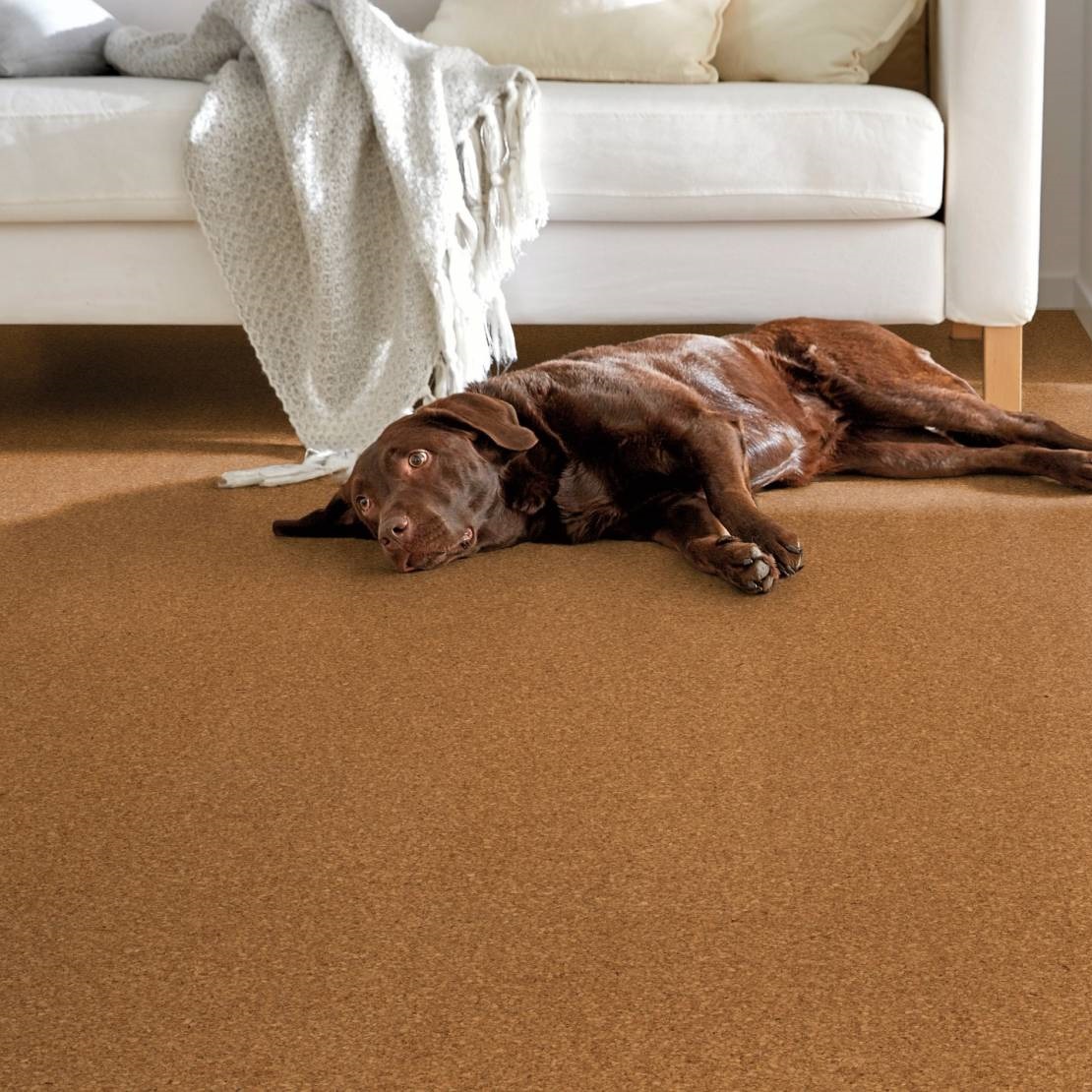 AMORIM Korkboden Beja Natural | Corklife Studiostyle-5602190307829