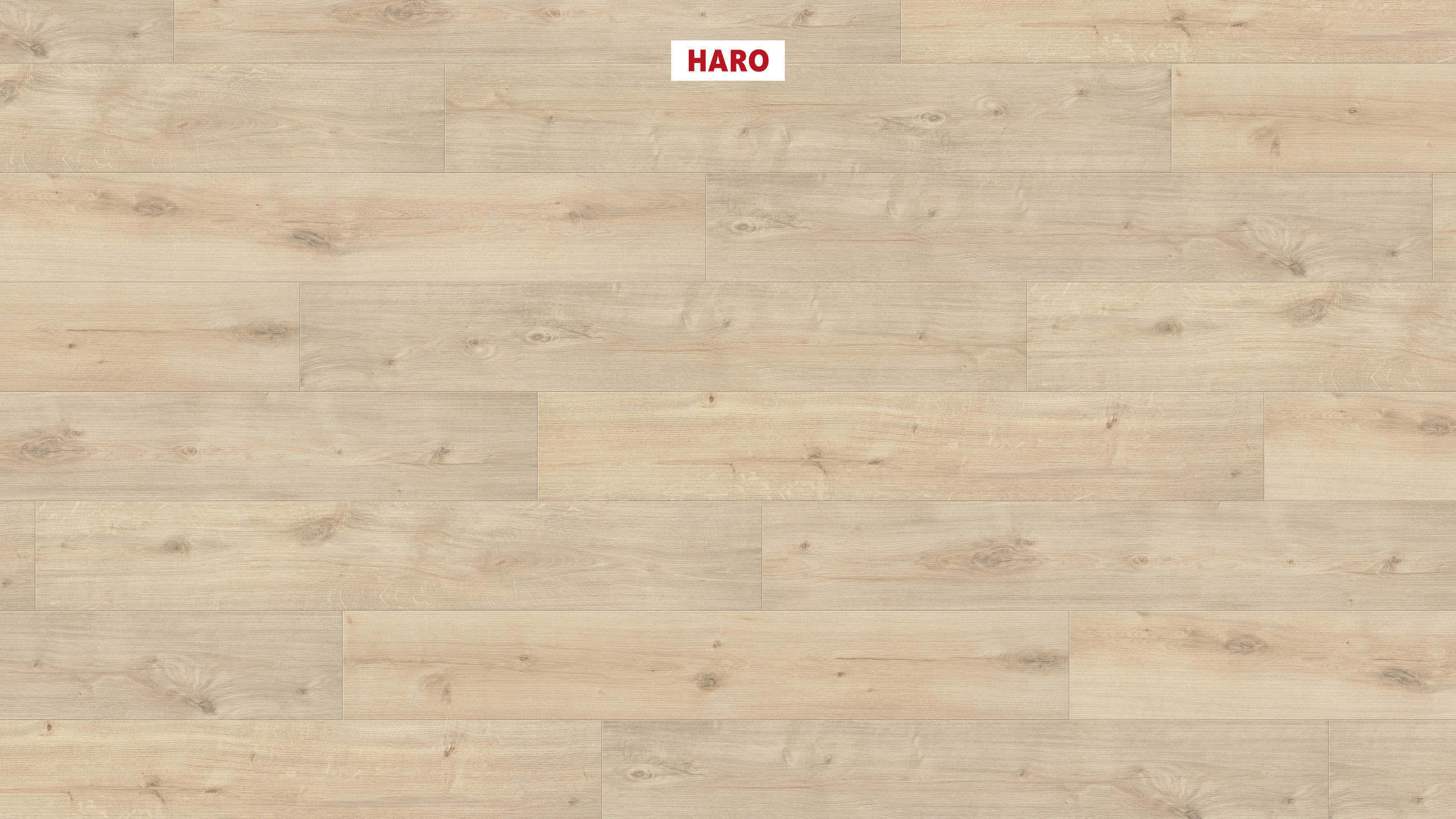 HARO Laminat Eiche Siena samtweiß soft matt Landhausdiele | Sonderedition NKL31-4018427488968