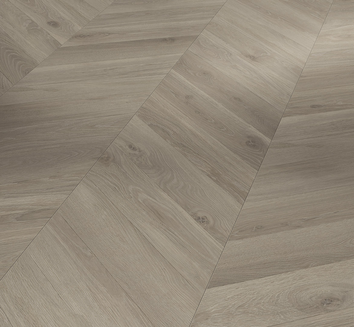 PARADOR Laminat Eiche Loire grau Seidenmatte Struktur | Trendtime 8