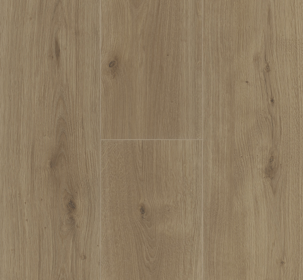 PARADOR Designboden Eiche graubraun Landhausdiele Authentische Struktur 4-seitige Fase | Basic-4014809265733 guenstig bei bodenverkauf.de kaufen PARADOR Designboden Eiche graubraun Landhausdiele Authentische Struktur 4-seitige Fase | Basic-4014809265733