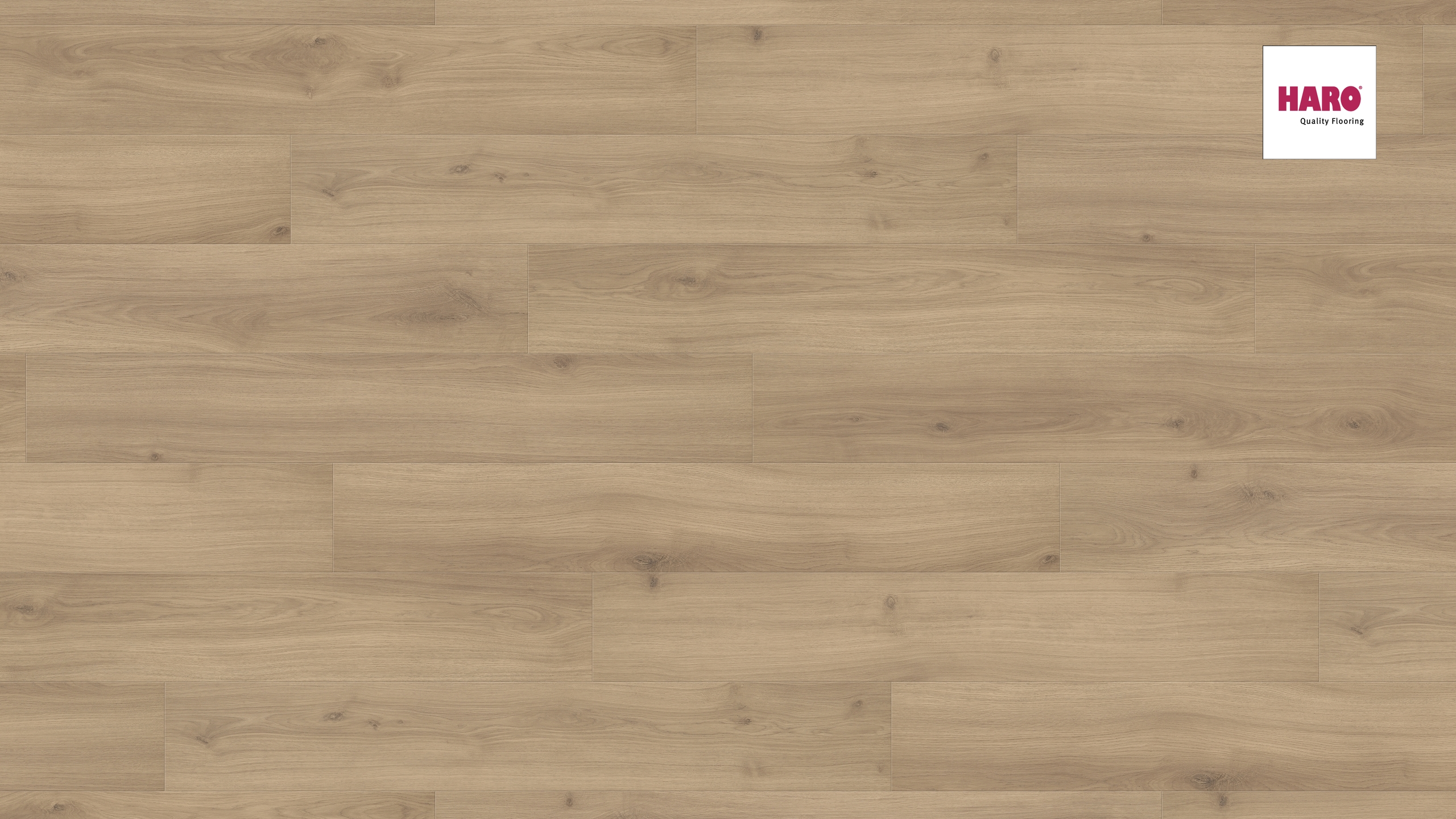HARO Laminat Eiche Emilia puro Landhausdiele 4V | Tritty 100 | 2.Wahl | 29 m²-4018427448790