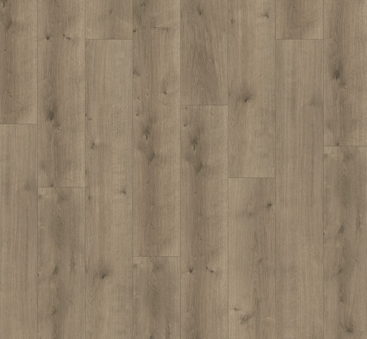 PARADOR Designboden Eiche Loft Landhausdiele Holzstruktur 4-seitige Fase | Basic-4014809262770