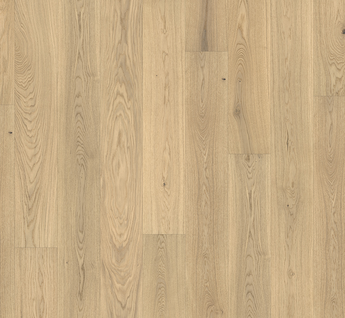 PARADOR Parkett Eiche Pure Landhausdiele lackversiegelt Minifase | Basic 11-5 | 2. Wahl | 12 m²-4014809170754