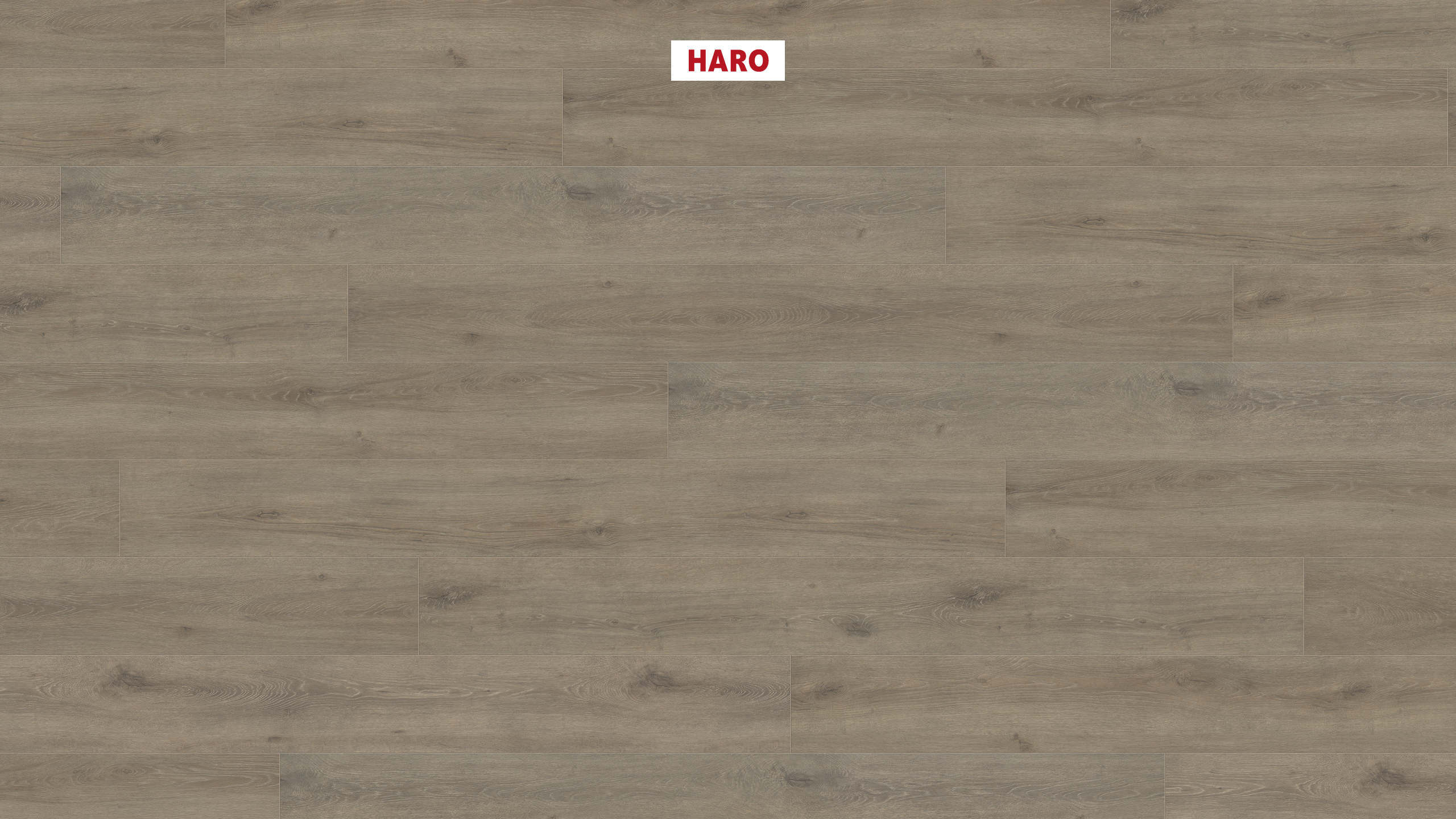 HARO Laminat Eiche Veneto mocca Landhausdiele 4V | Tritty 100 Gran Via Sonderedition | 8 m²-4018427474768 guenstig bei bodenverkauf.de kaufen HARO Laminat Eiche Veneto mocca Landhausdiele 4V | Tritty 100 Gran Via Sonderedition | 8 m²-4018427474768
