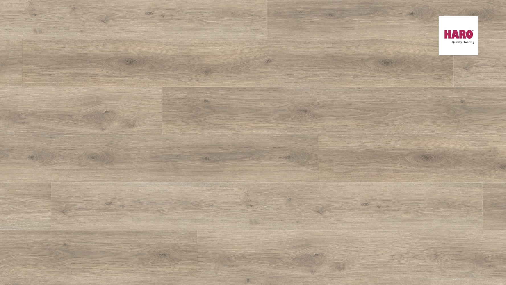 HARO Laminat Eiche Emilia samtgrau Landhausdiele 4V | Tritty 100 Gran Via Sonderedition | 11 m²-4018427445836