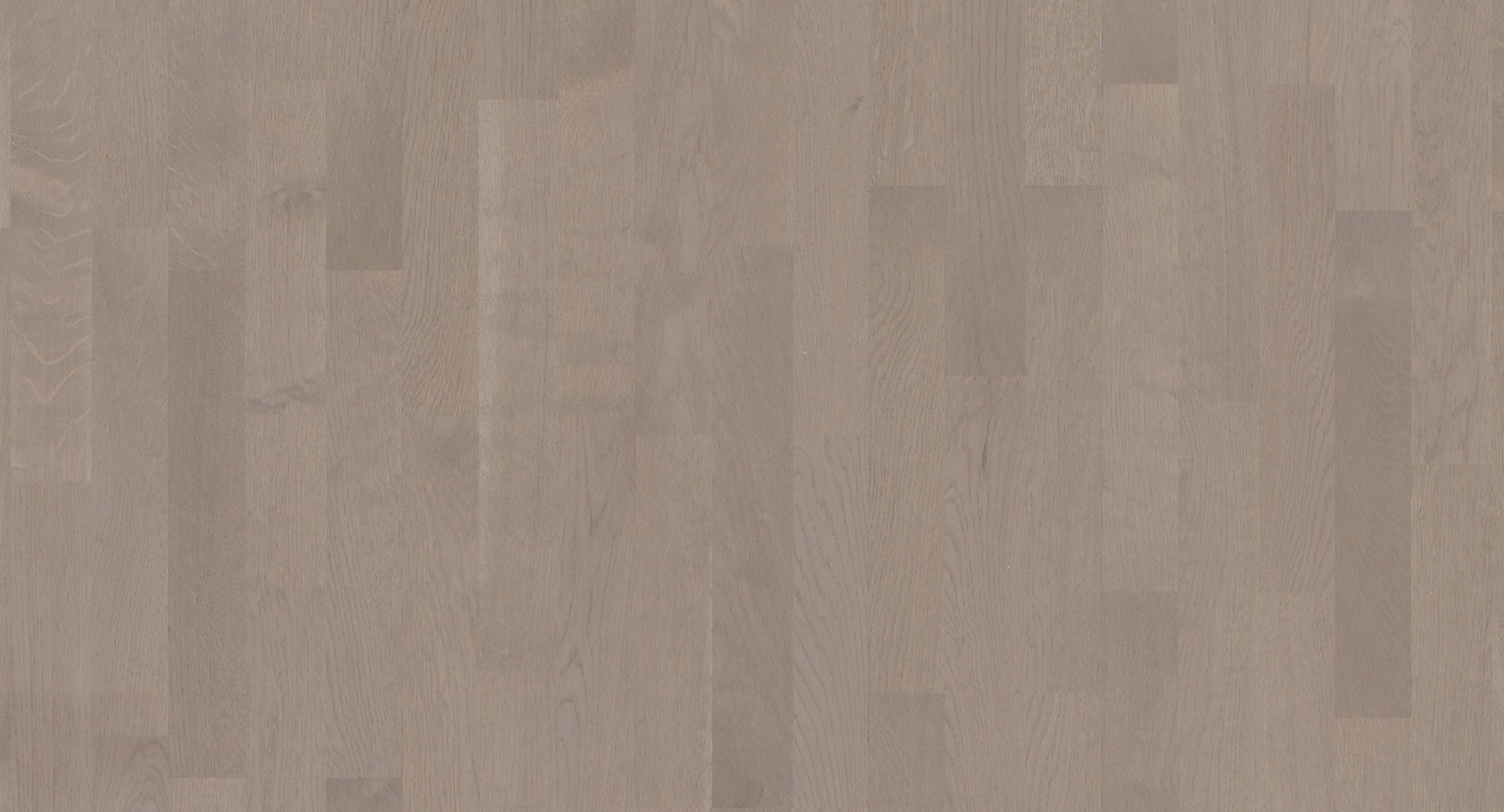 PARADOR Parkett Eiche graphit Schiffsboden 3-Stab lackversiegelt matt | Sonderedition-4014809196860