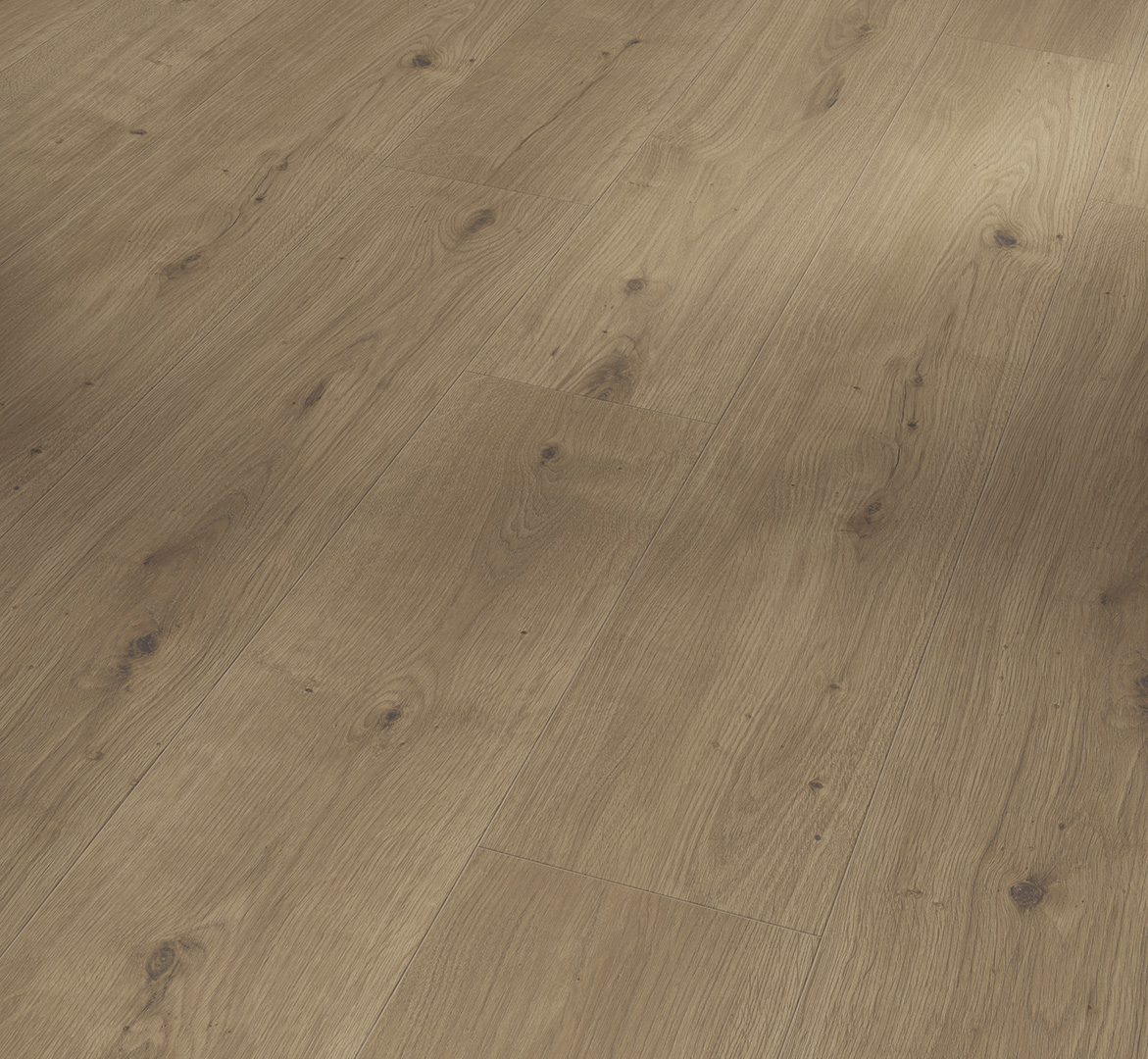 PARADOR Designboden Eiche graubraun Landhausdiele Authentische Struktur 4-seitige Fase | Basic-4014809265733 guenstig bei bodenverkauf.de kaufen PARADOR Designboden Eiche graubraun Landhausdiele Authentische Struktur 4-seitige Fase | Basic-4014809265733