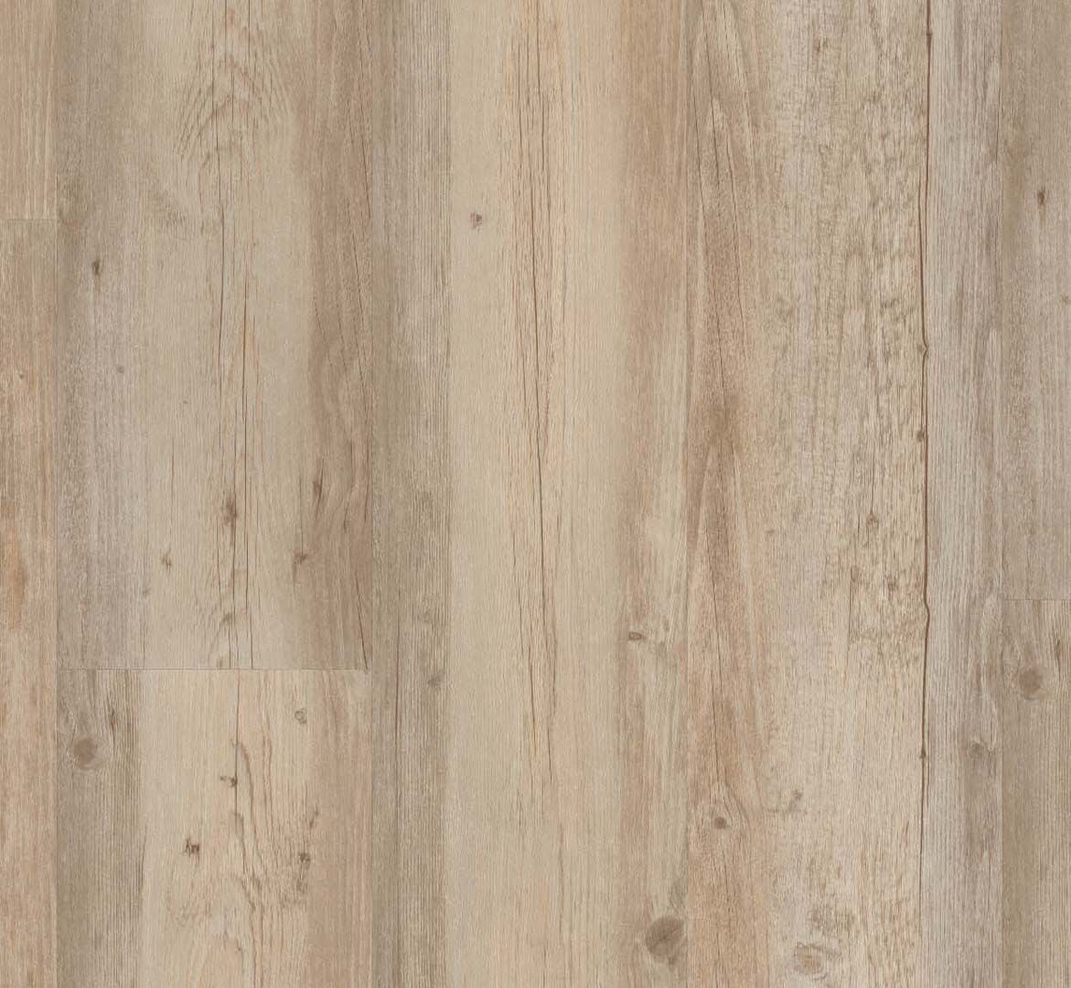 PARADOR Vinylboden Pinie weiß geölt Landhausdiele Sägeraue Struktur | Classic 2050-4014809145097 guenstig bei bodenverkauf.de kaufen PARADOR Vinylboden Pinie weiß geölt Landhausdiele Sägeraue Struktur | Classic 2050-4014809145097