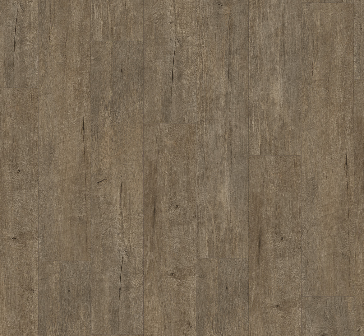 PARADOR Vinylboden Eiche Explorer felsengrau Landhausdiele 4-seitige Fase | Classic 2030-4014809237112