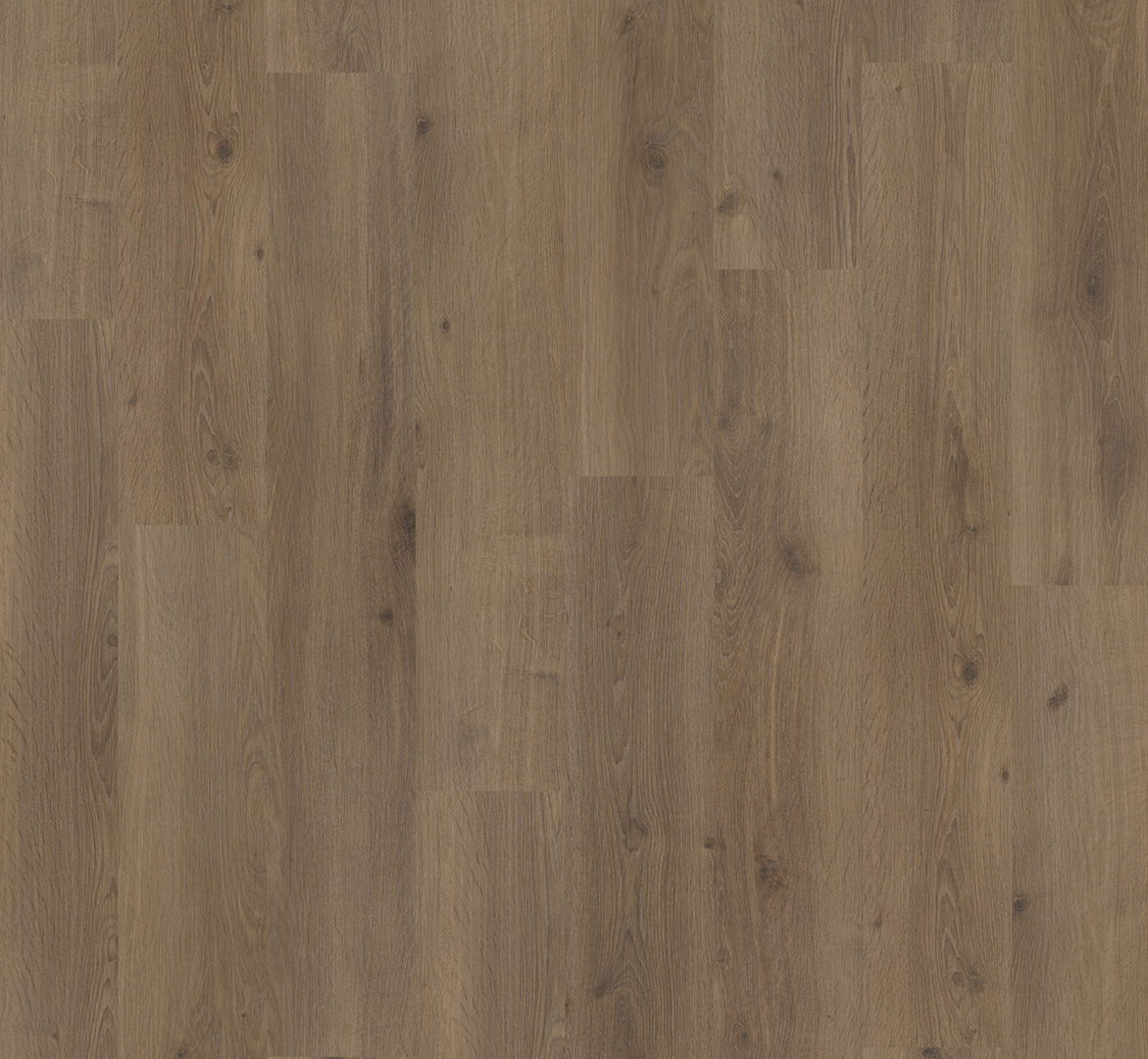 PARADOR Laminat Eiche dunkel gekälkt Landhausdiele Gebürstete Struktur | Urban 8-32 | 8,5 m²-4014809226475 guenstig bei bodenverkauf.de kaufen PARADOR Laminat Eiche dunkel gekälkt Landhausdiele Gebürstete Struktur | Urban 8-32 | 8,5 m²-4014809226475